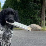 Jörg Frommhagen Zimmerei GmbH & Co. KG, Slider gespiegelt Jörg Frommhagen Zimmerei GmbH & Co. KG, Slider gespiegelt